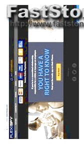 flexispy ohne installation